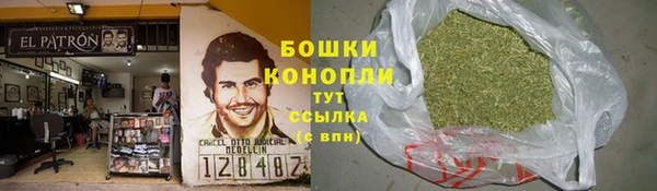 гашик Арсеньев