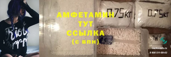 спиды Аркадак