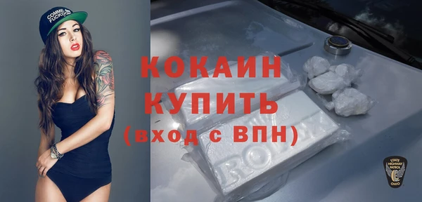 гашик Арсеньев