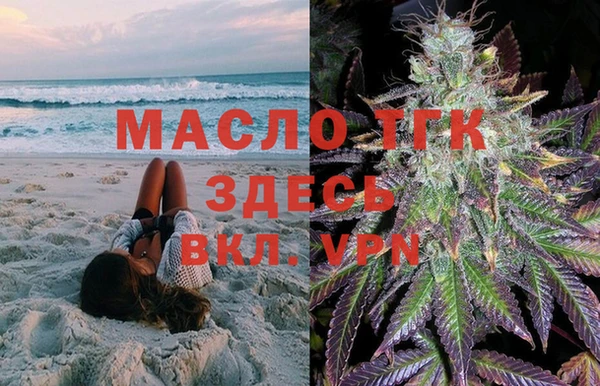 спиды Аркадак