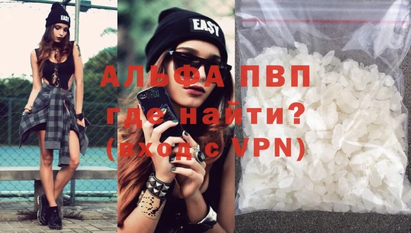 гашик Арсеньев