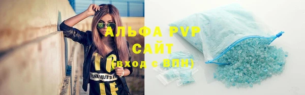 гашик Арсеньев