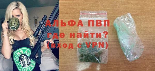 гашик Арсеньев