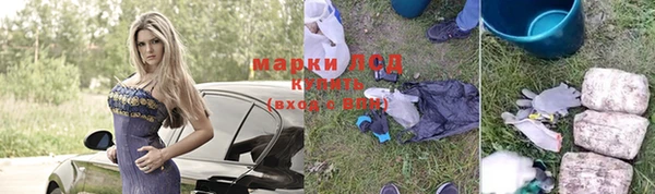 спиды Аркадак